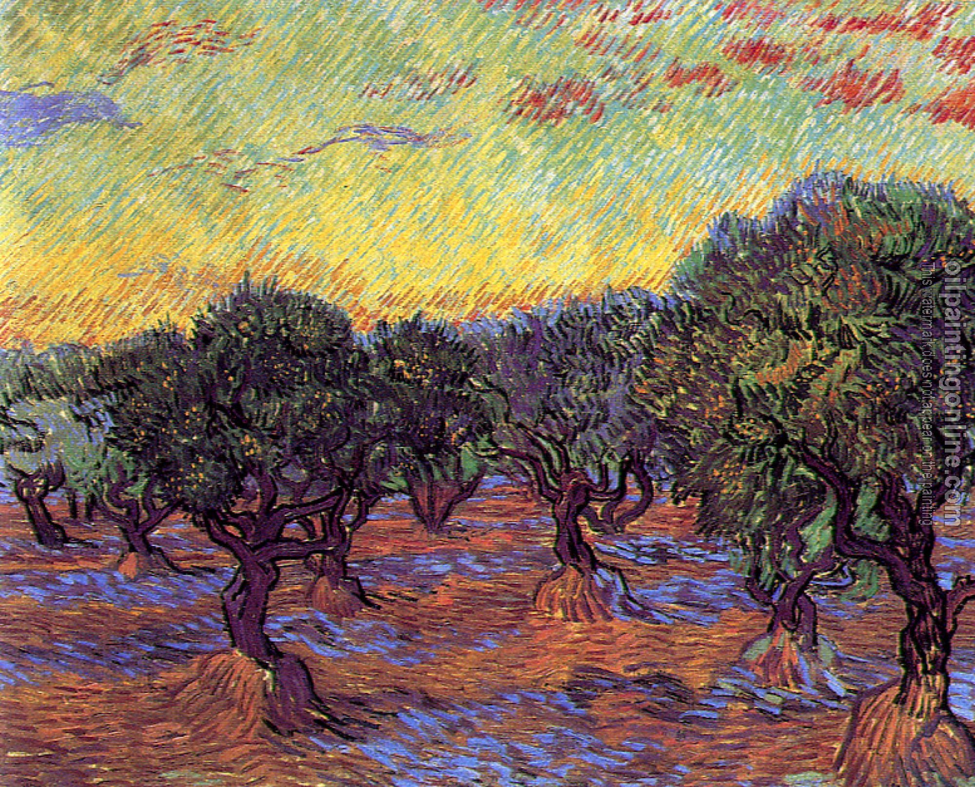 Gogh, Vincent van - Olive Orchard